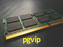 pgvip,pgvip.cc