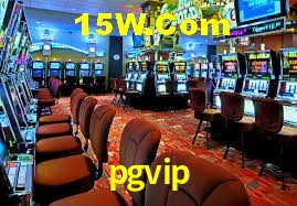 VIP Casino pgvip
