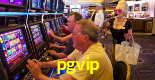 pgvip.cc
