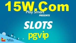 pgvip.cc